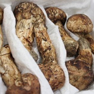 300g(約4~5本)】中国産 松茸(まつたけ)を税込・送料込でお試し 