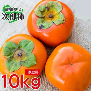 【予約受付】11/10~順次出荷【10kg】愛知県産 次郎柿 ご家庭用