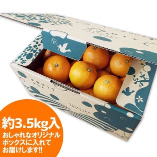 予約受付 12月5日以降順次出荷 媛一まどんな 約3 5kg ご家庭用 産地直送 を税込 送料込でお試し サンプル百貨店 農ぷらす愛媛株式会社 予約受付 12月5日以降順次出荷 媛一まどんな 約3 5kg ご家庭用 産地直送 を税込 送料込でお試し サンプル百貨店 農ぷらす愛媛株式会社