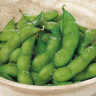 15g 2袋 石塚さんのだだちゃ豆 フリーズドライを税込 送料込でお試し サンプル百貨店 有限会社木川屋本店