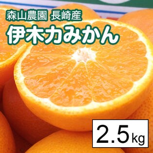 【2.5kg箱】森山農園 長崎産伊木力みかん