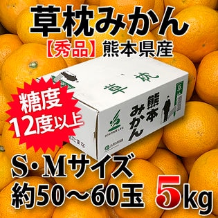 【約5kg(50~60玉)】熊本県産 草枕みかん 青秀 (S・Mサイズ)