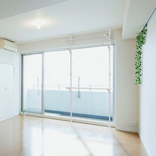 ホワイト ドリームハンガー 棚付窓際たっぷり物干しを税込 送料込でお試し サンプル百貨店 株式会社ドリームウェア