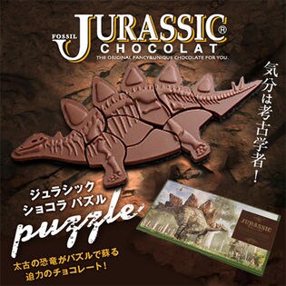 ダイナソー チョコレートの空き箱 【公式通販】