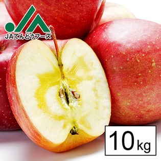【10kg】[○秀品]山形県天童産小玉サンふじりんご ※ご家庭用