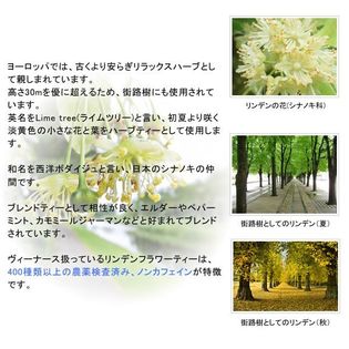 ヴィーナース 60ティーバッグ リンデンフラワーティー 2個セット を税込 送料込でお試し サンプル百貨店 ヴィーナース ハーブティー専門店