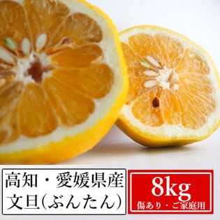 【約8kg】高知・愛媛県産 大豊作文旦(ぶんたん)(ご家庭用・傷あり