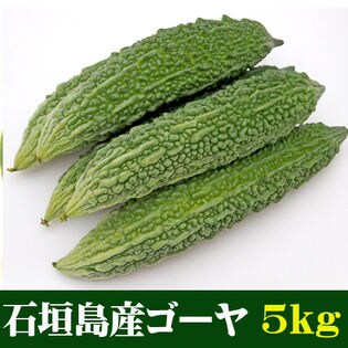 【約5kg(10~35本)】石垣島産ゴーヤ （苦瓜） 規格外　家庭用