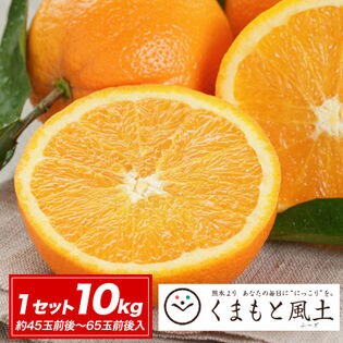 【1セット約10kg】 [青秀]熊本県産ネーブルオレンジ ※3L‐Mサイズ