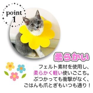 ピンク：M】エリザベスカラーひまわりを税込・送料込でお試し 