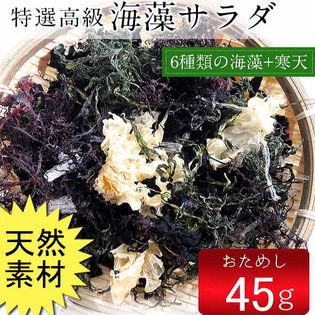 45gx1袋 海藻サラダ45g 乾燥タイプ を税込 送料込でお試し サンプル百貨店 合資会社ジーエスセレクトフーズ