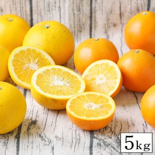 【5kg】八朔(はっさく)・ダイヤオレンジセット ※ご家庭用(サイズ不揃い・枝傷・葉傷・黒点等あり)