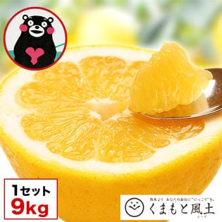 【9kg】熊本県産 和製グレープフルーツ（河内晩柑）※ご家庭用
