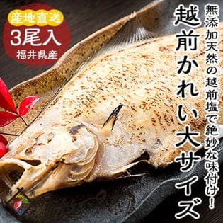 越前カレイ一塩干し 大サイズ3尾セット《冷凍便》 肉厚食べ応え抜群