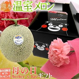 【予約受付】[1玉 約1.5kg以上]熊本産マスクメロン＆カーネーション生花 くまモン化粧箱入