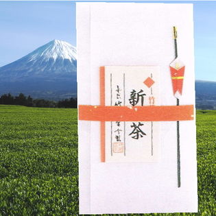 【100g×2袋】静岡県産2020年度新茶「竹茗」