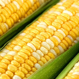 3L(12本)】秀 徳島県産 高糖度とうもろこし 甘々娘を税込・送料込でお