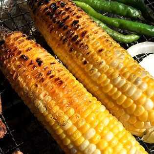 3L(12本)】秀 徳島県産 高糖度とうもろこし 甘々娘を税込・送料込でお