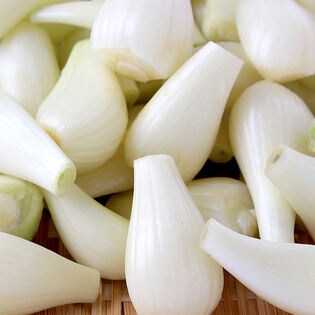 【M 1kg×3袋】鳥取県福部町産 ふくべ鳥取砂丘洗いらっきょう