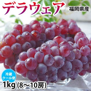 【1kg 8~10房】福岡県産 ぶどう デラウェア