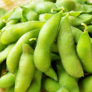 【180g×10袋】岐阜県産 岐阜えだまめ A等級 Lサイズ