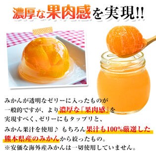 1セット 6個入り まるごとみかんゼリーを税込 送料込でお試し サンプル百貨店 くまもと風土