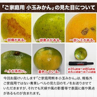 1セット2kg 熊本小玉みかん ご家庭用 傷あり サイズ不選別 を税込 送料込でお試し サンプル百貨店 くまもと風土