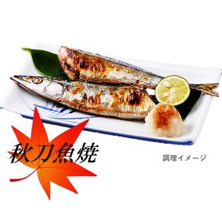 10本セット 旬の味覚 秋刀魚開干し 丸干しを税込 送料込でお試し サンプル百貨店 仙台漬魚株式会社