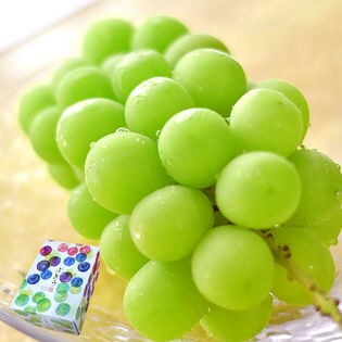 約500g 2l 1房 山梨県産 長野県産シャインマスカット 化粧箱入 露地栽培を税込 送料込でお試し サンプル百貨店 株式会社サラダファイブ