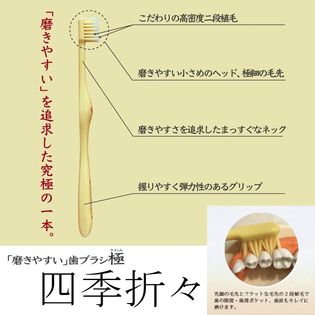 極 ふつう 12本セット 四季折々 みがきやすい歯ブラシ を税込 送料込でお試し サンプル百貨店 ライフレンジ