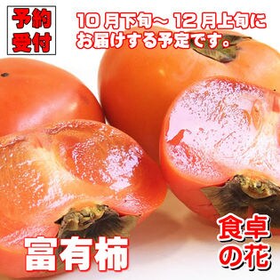 【予約受付】11/2~順次出荷 [秀品]【7kg】富有柿（和歌山・奈良）