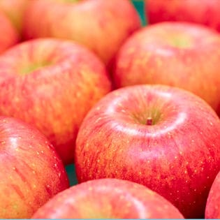 1 2kg箱 4 5玉 果物屋さんが選んだ旬の赤い林檎1 2kg箱を税込 送料込でお試し サンプル百貨店 南国フルーツ