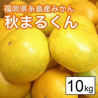 【10kg箱】福岡県糸島産みかん 秋まるくん