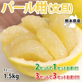 約1 5kg 熊本県産 パール柑 傷あり 不揃い ご自宅用 を税込 送料込でお試し サンプル百貨店 Foody S