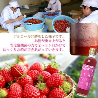 飲む酢 酢飲 いちご 0ml 2本セット を税込 送料込でお試し サンプル百貨店 株式会社ライフプロポーションセンター