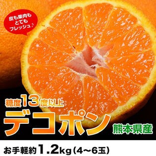 《3箱同時申込で1箱オマケ》【1.2kg(4-6玉)】 熊本県産 デコポン