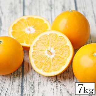 【7kg】愛媛県産  ダイヤオレンジ (サイズ込み) ※ご家庭用(葉傷・枝傷・黒点あり)