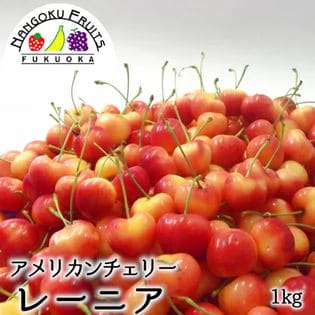 6/15から順次出荷アメリカンチェリー(レーニア)1kg