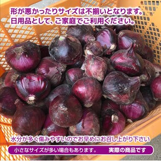 約5kg サイズ混合 ご家庭用 紫玉ねぎ 香川県産 色鮮やかで栄養たっぷり を税込 送料込でお試し サンプル百貨店 サンタの贈り物