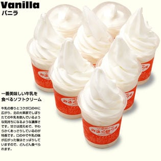 低温殺菌牛乳ソフトクリームセット(バニラ10個)