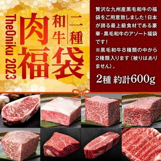 【計600g】豪華お楽しみ肉福袋・黒毛和牛2種