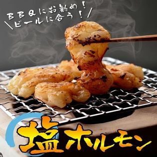 【1kg】（100g×10パック）国産牛塩ホルモン(牛 小腸)