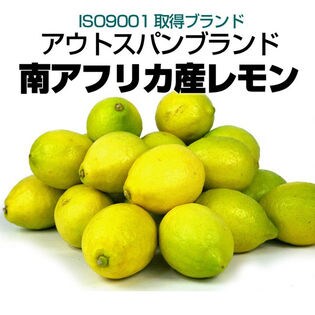 【約2kg】南アフリカ産 レモン(防カビ剤不使用)