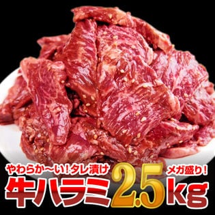 【2．5kg(500g×5)】極厚秘伝のタレ漬け牛ハラミ