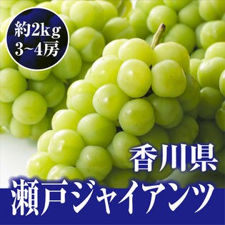 【約2kg(3-4房)】瀬戸内産  瀬戸ジャイアンツめずらしい桃太郎ぶどう