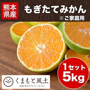 Dショッピング 1セット5kg もぎたてみかん ご家庭用 カテゴリ 果物の販売できる商品 All About Life Marketing 020800000629858 ドコモの通販サイト