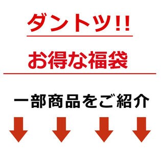 22年 スヌーピー 福袋 4点入る 豪華な商品をお得にを税込 送料込でお試し サンプル百貨店 株式会社ファミリエ
