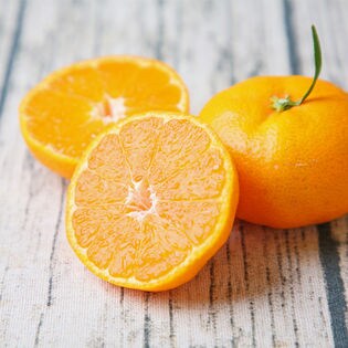 10kg(3S-2Sサイズ込み)】ちび玉吉田みかん (ご家庭用、葉傷・枝傷