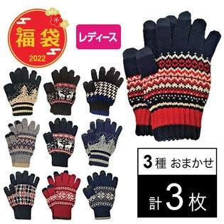 3枚 レディース スマホ対応 手ぶくろ デザインいろいろ福袋 日本製 デザインおまかせを税込 送料込でお試し サンプル百貨店 春夏秋冬旨いもん市場