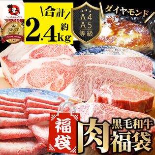 【計2.4kg超】肉の福袋＜計4種 食べ比べ＞メガ盛り！ダイヤモンド福袋